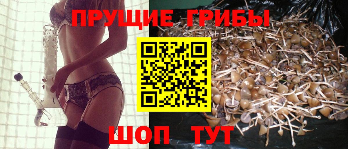 Галлюциногенные грибы прущие грибы  Псилоцибиновые грибы мухоморы  Вход с VPN  Похвистнево 